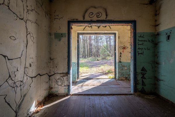 Doorway out to the forest