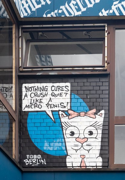 TOBO's cat in a window bay