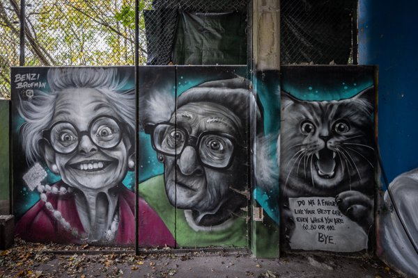 Grandmothers and a cat by Benzi Brofman