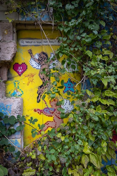 Cherubs behind the ivy